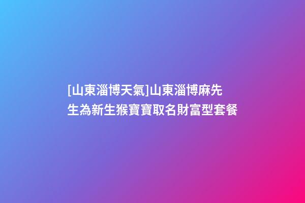 [山東淄博天氣]山東淄博麻先生為新生猴寶寶取名財富型套餐-第1張-公司起名-玄機派